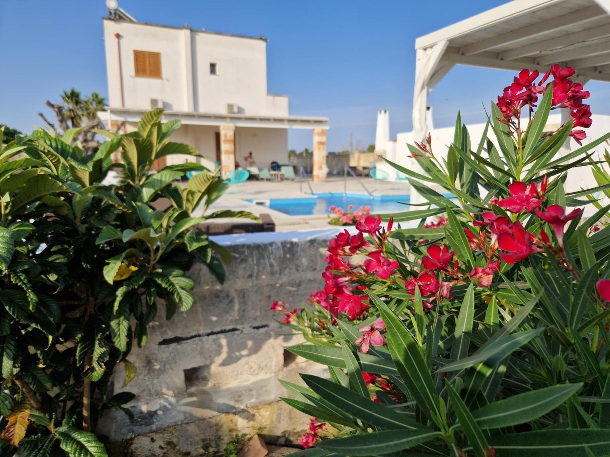La Dimora Dei Conti Bed & Breakfast Collemeto Exterior foto